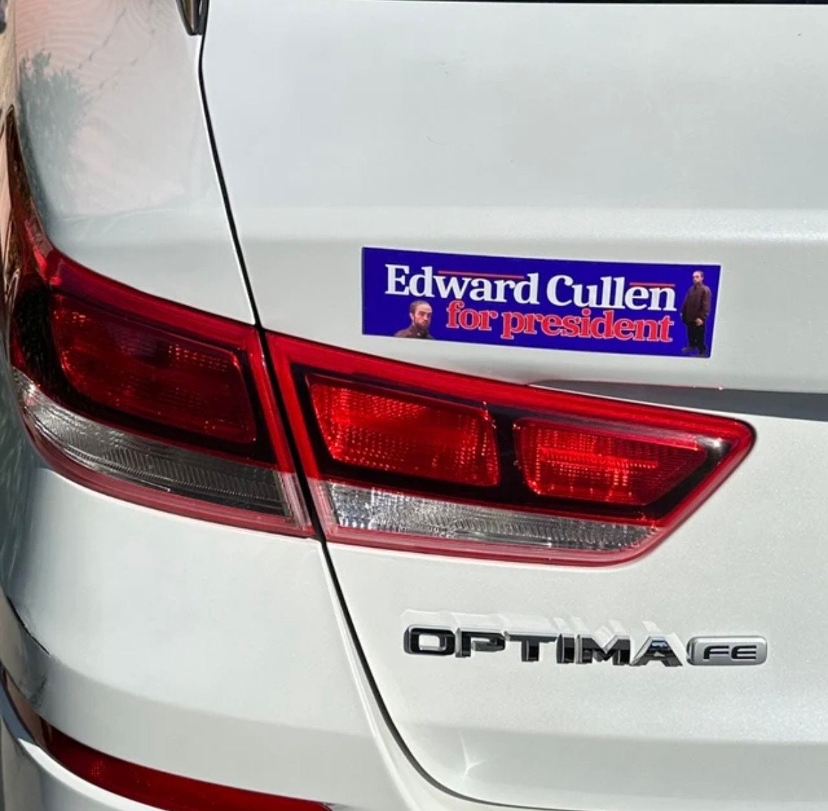 Edward Cullen for President - frogmustard stickers