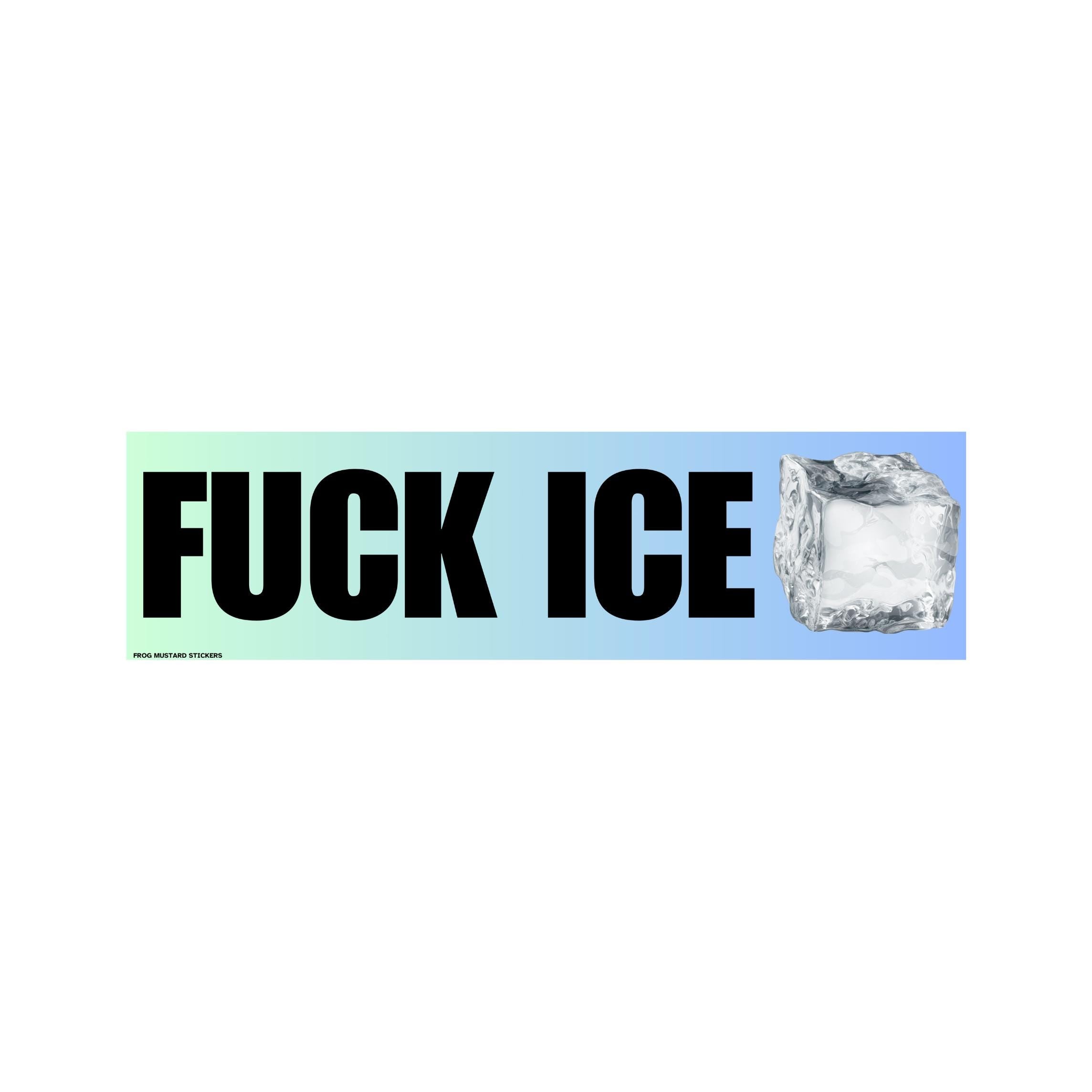 F*** ICE | Unhinged Political Decal | 8.5" x 2.5"| Bumper Car Sticker OR Magnet Premium Weather-proof Vinyl