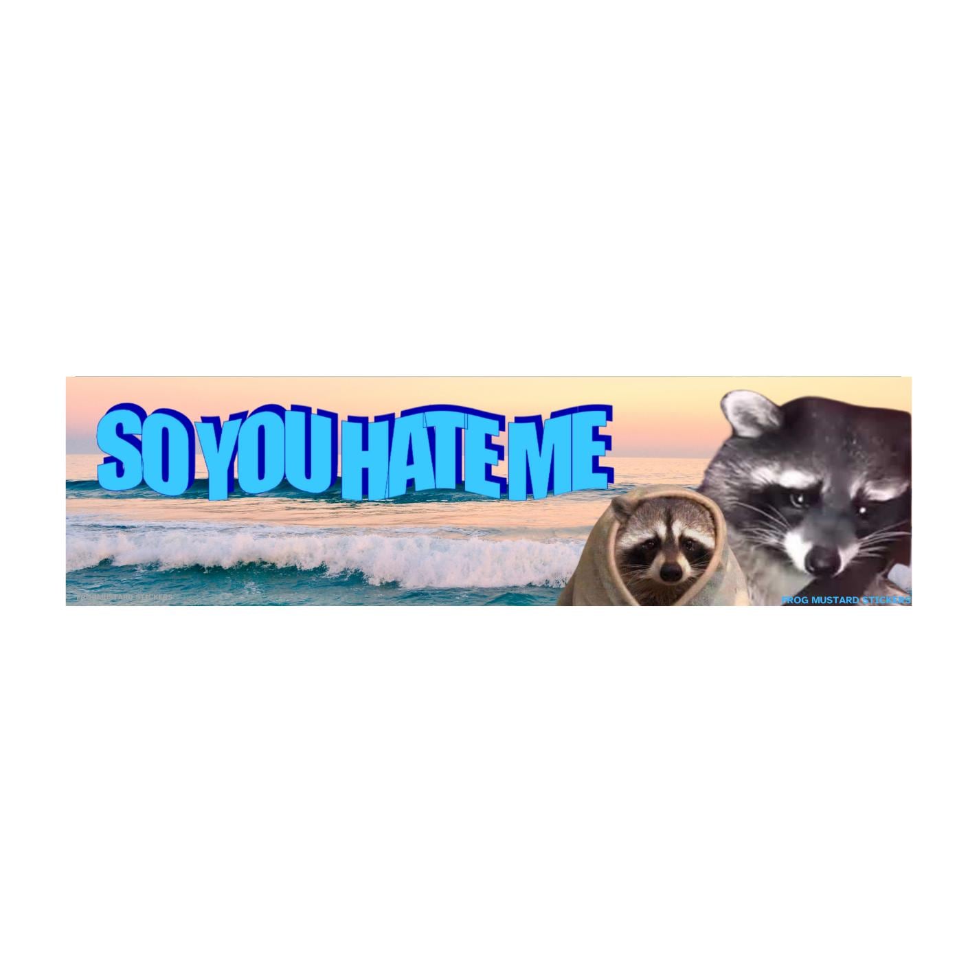 So you hate me... Raccoon Bumper Sticker OR Magnet | Satire | Cute Marsupial | Cute Cat | Gen Z Humor 8.5" x 2.5"