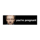 MD Gregory House Meme "You're Pregnant" Sticker or Magnet | Satire | 8.5" x 2.5" Premium Weather-proof Vinyl