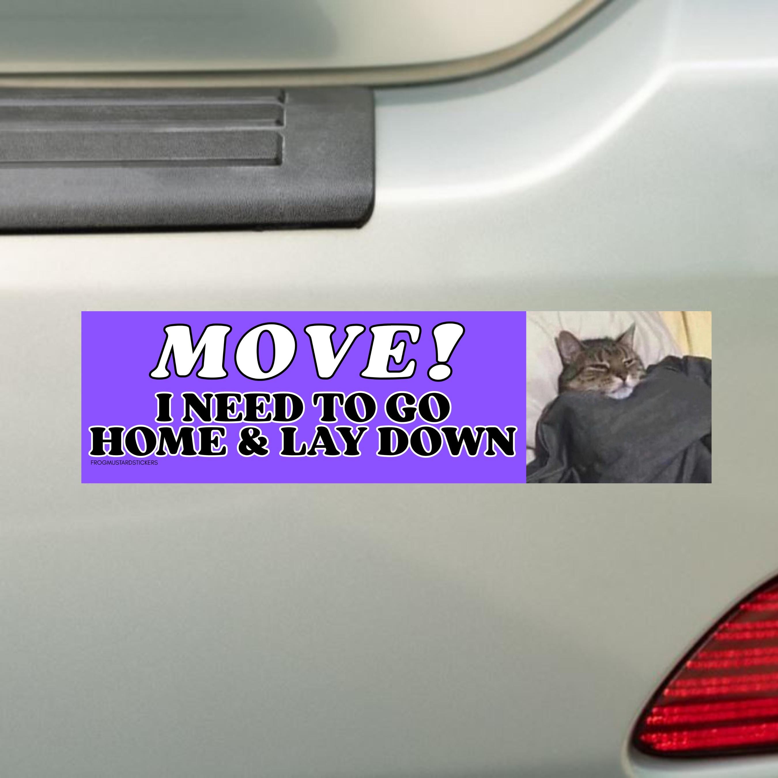 Move! I Need to Go Home and Lay Down | Bumper Sticker or Magnet | Funny Cat Sticker | 8.5" x 2.5" | Premium Weather-proof Waterproof Vinyl