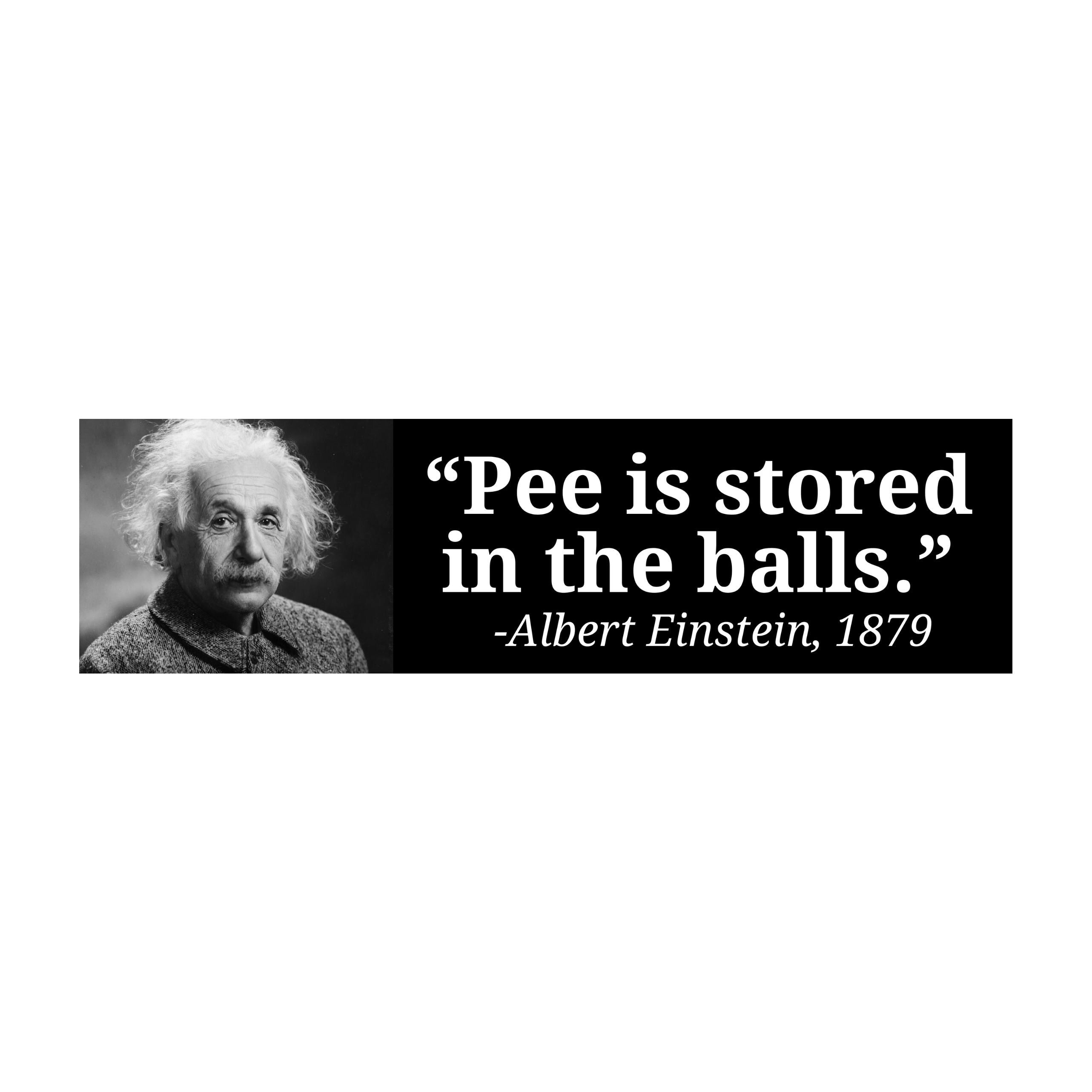 Pee is Stored in the Balls - Albert Einstein | Funny | Car Bumper Sticker OR Magnet | Satire | 8.5" x 2.5" Premium Weather-proof Vinyl