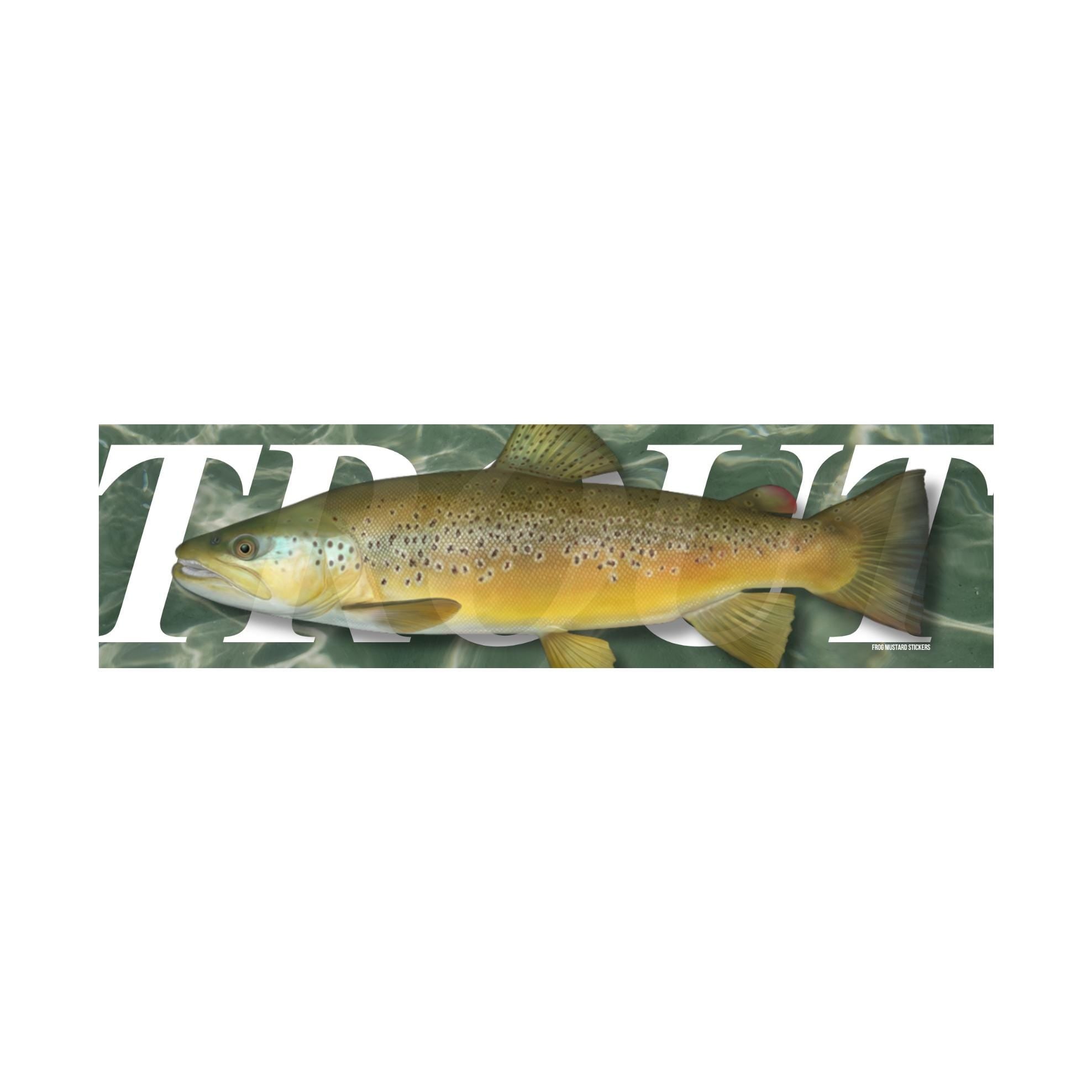 TROUT | 8.5" x 2.5" | Car or Water Bottle Sticker | Fishing Meme | Bumper Sticker OR Magnet