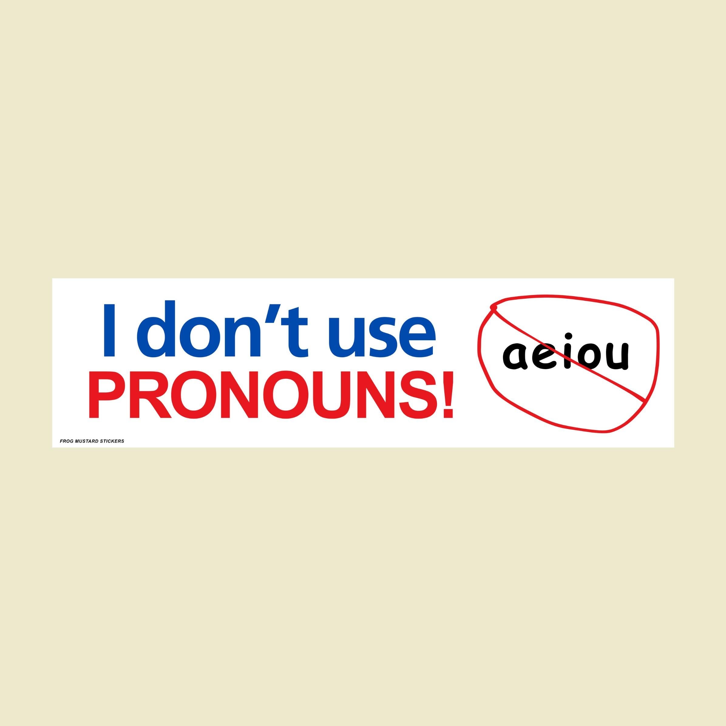 I Don't Use Pronouns! (a, e, i, o, u) - Funny Car Sticker or Magnet