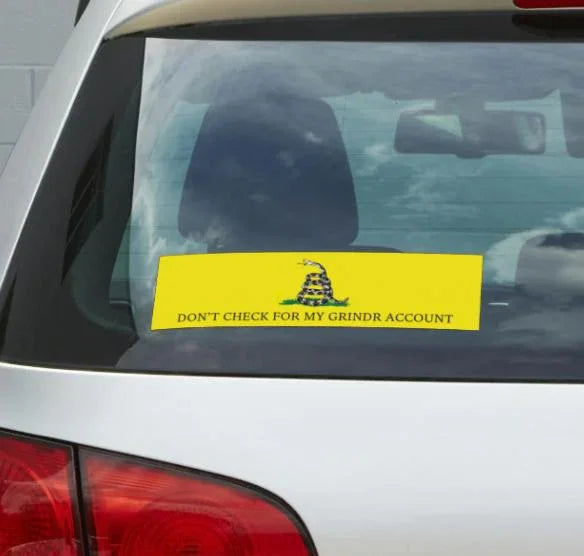 Yellow funny frog sticker on car window with text 'DON'T CHECK FOR MY GRINDR ACCOUNT'.