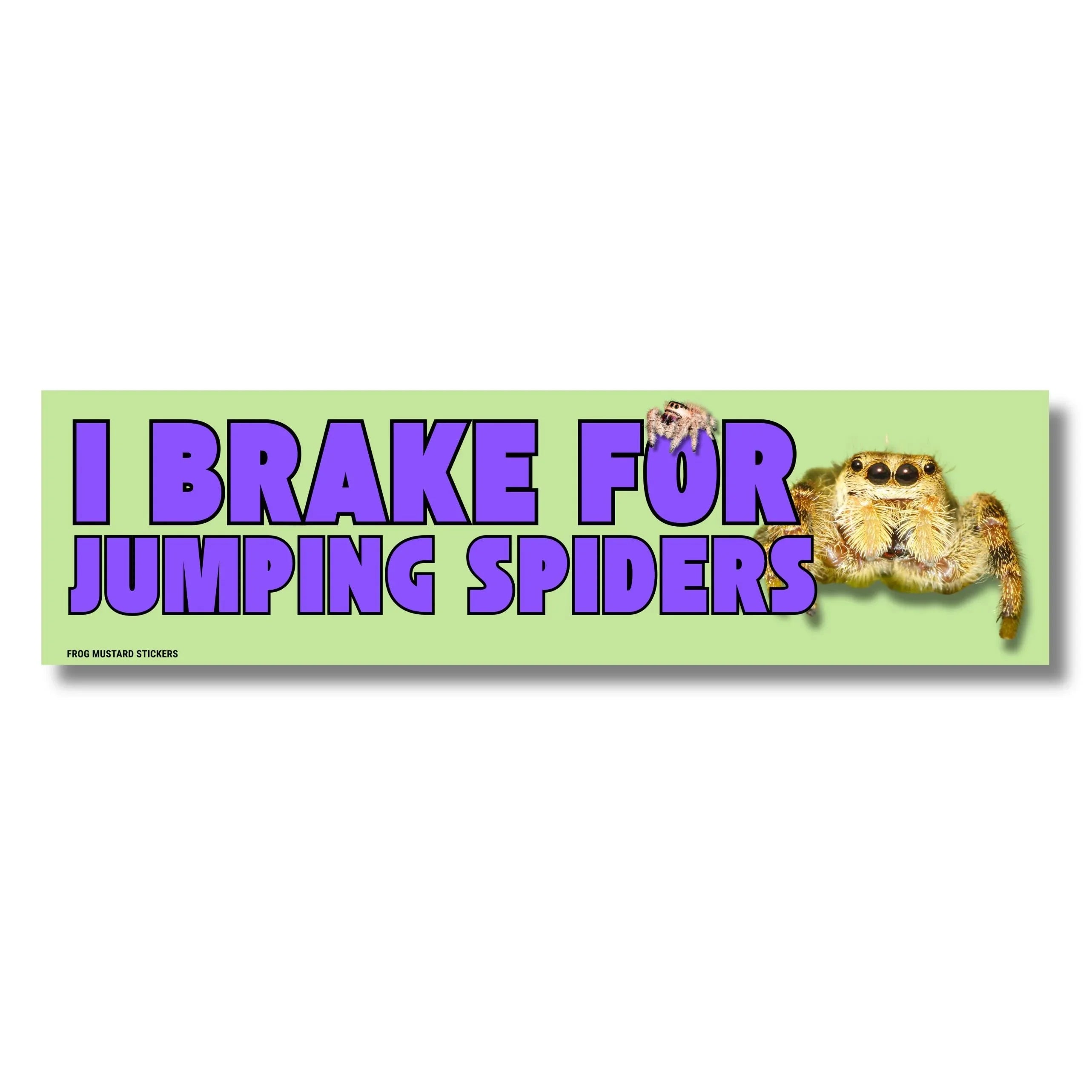 I Brake For Jumping Spiders bumper sticker with bold purple text and spider image
