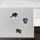 Raccoon stickers on laptop, weatherproof vinyl decals for laptops or bumpers, fun animal designs