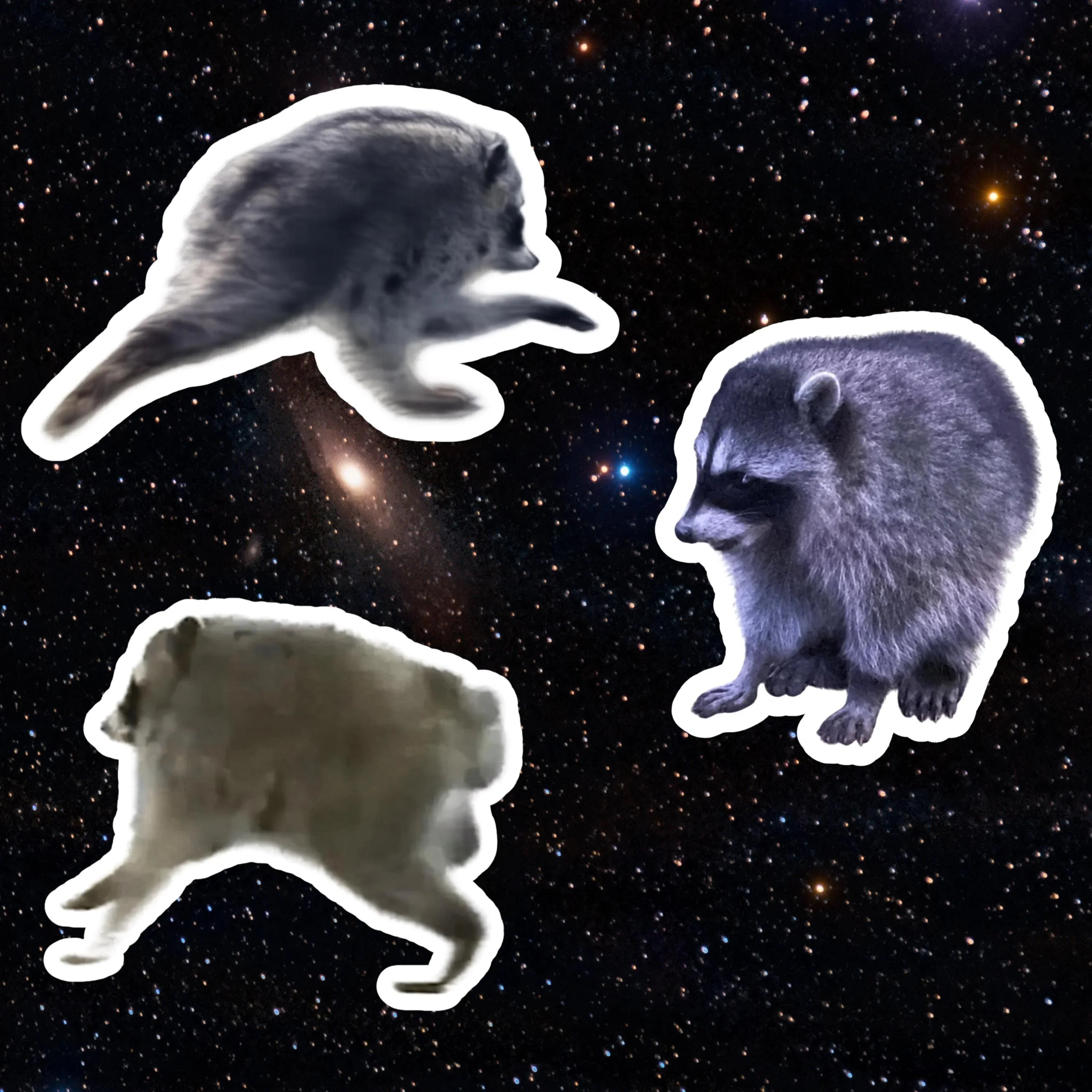 Raccoon stickers in space: weatherproof vinyl bumper stickers with cosmic background, bold and fun designs