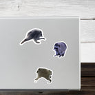 Jimothy Raccoon 3-Pack Die Cut Stickers - Frog Mustard Stickers