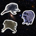 Jimothy Raccoon 3-Pack Die Cut Stickers - Frog Mustard Stickers