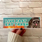 Live Fast, Eat Trash Racoon - Frog Mustard Stickers