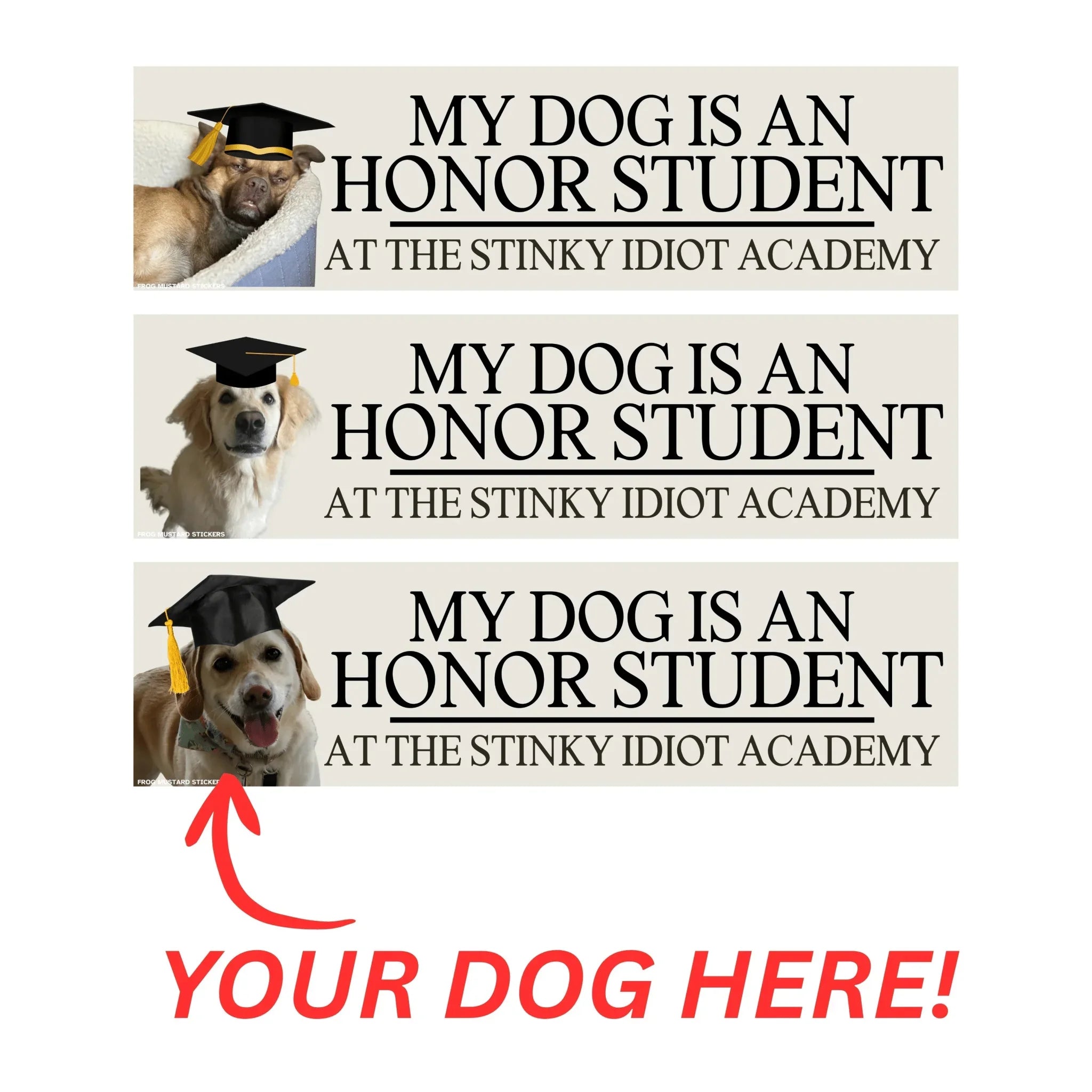 My Dog is an Honor Student at the Stinky Idiot Academy (Choose the default dog shown, or upgrade to use your own dog photo. - Frog Mustard Stickers