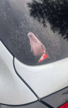 Neil the Seal Die Cut Sticker or Magnet 6" x 2” - Frog Mustard Stickers