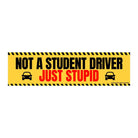 Not a Student Driver, Just Stupid - Frog Mustard Stickers