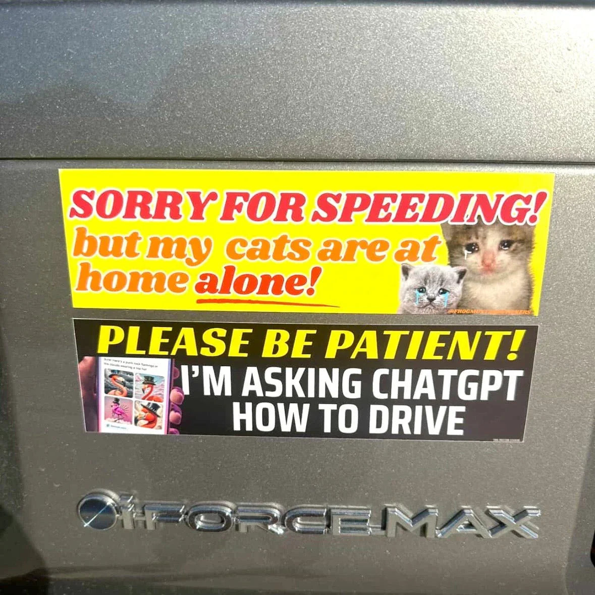 Please Be Patient! I'm Asking ChatGPT How to Drive - Frog Mustard Stickers