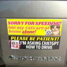 Please Be Patient! I'm Asking ChatGPT How to Drive - Frog Mustard Stickers