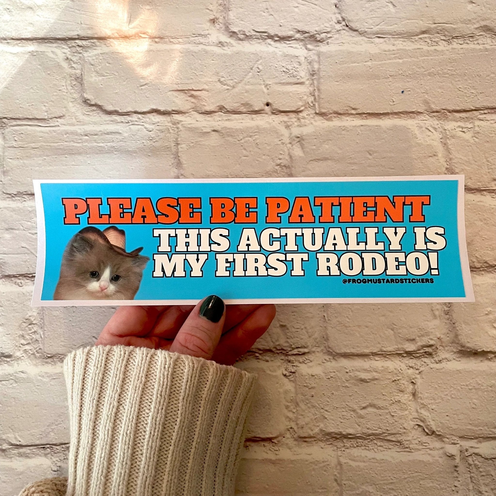 Please Be Patient, This Actually is My First Rodeo - Cute Cat Decal - Frog Mustard Stickers
