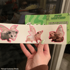 Possum Fairy Die Cut Stickers 3 - Pack - Frog Mustard Stickers