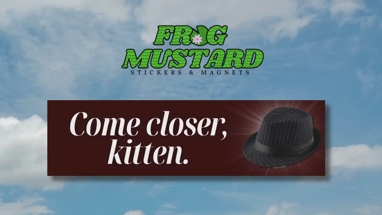 Come Closer Kitten (Fedora) Bumper Sticker or Magnet | Funny Bumper Sticker | 8.5" x 2.5" | Premium Weather-proof Waterproof Vinyl