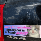 Sorry for Speeding, But My Cat is at Home Alone! - Frog Mustard Stickers