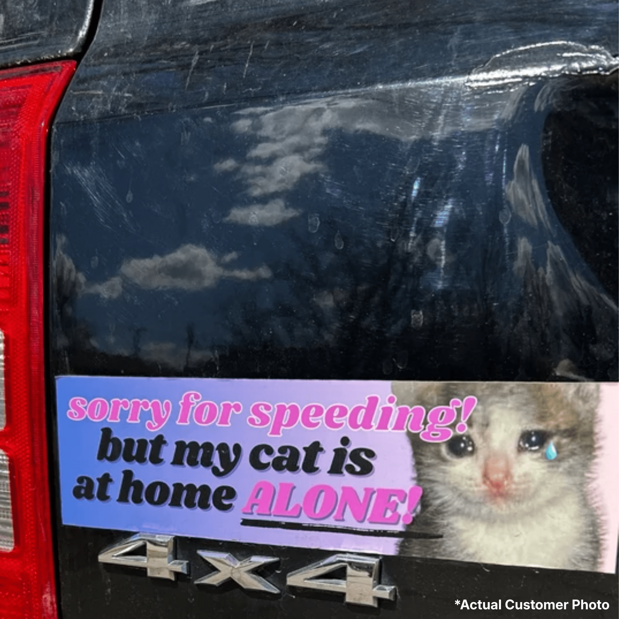 Sorry for Speeding, But My Cat is at Home Alone! - Frog Mustard Stickers