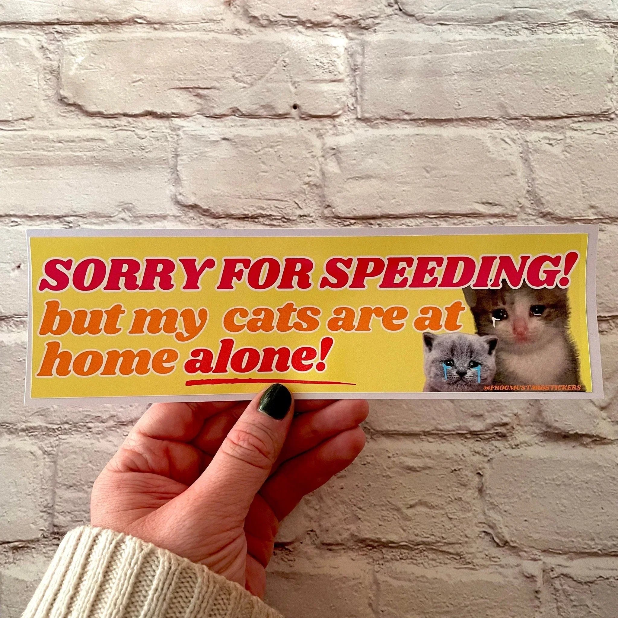 Sorry for Speeding! But My Cats (plural) are at Home Alone! - Frog Mustard Stickers