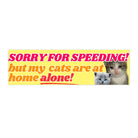 Sorry for Speeding! But My Cats (plural) are at Home Alone! - Frog Mustard Stickers