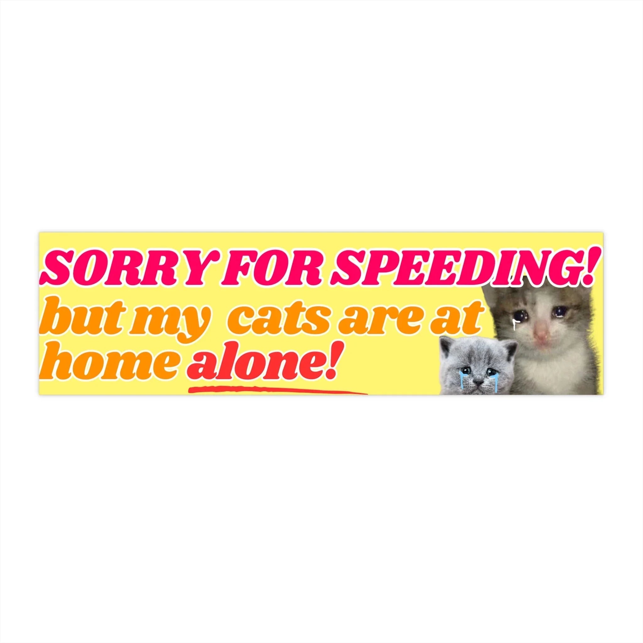 Sorry for Speeding! But My Cats (plural) are at Home Alone! - Frog Mustard Stickers