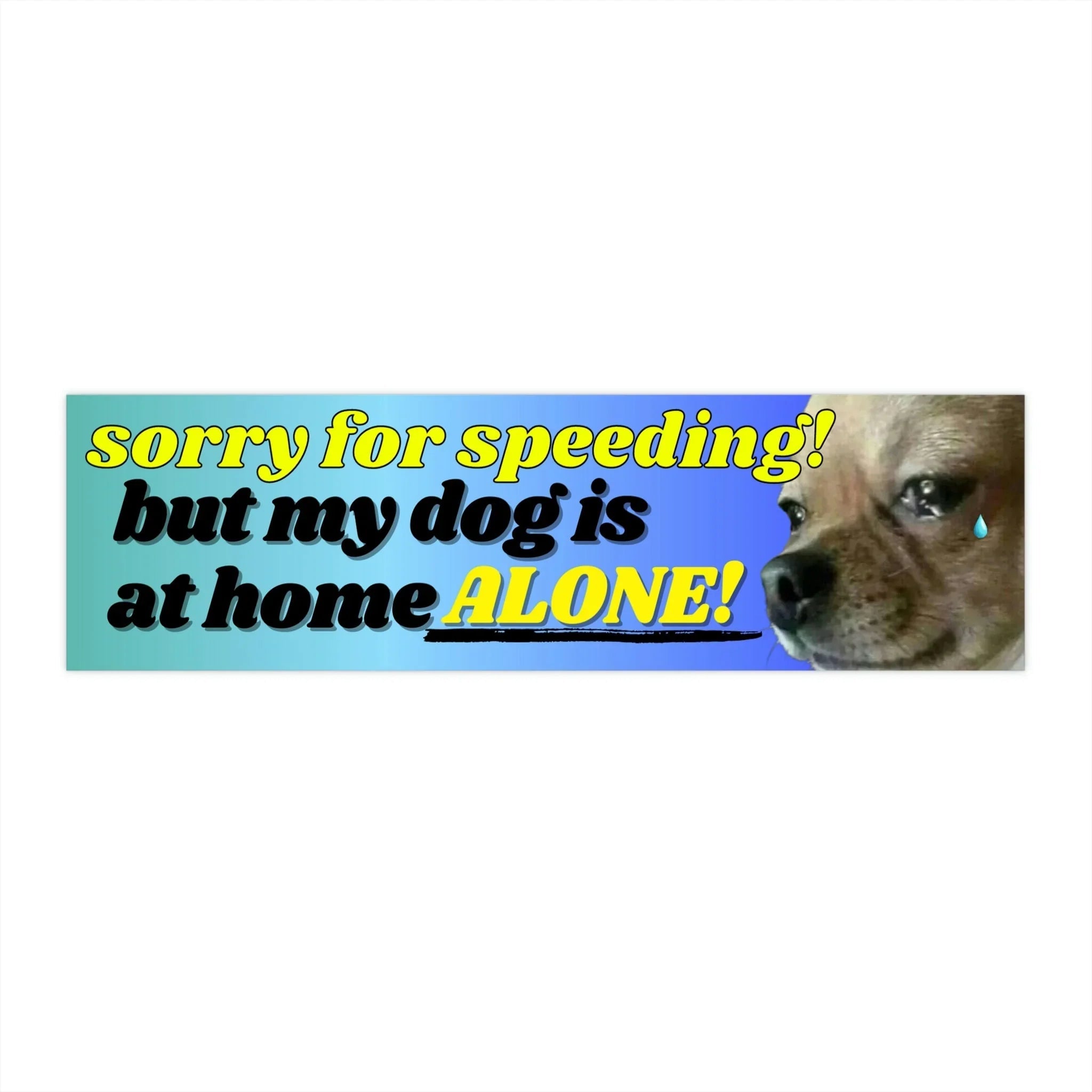 Sorry for speeding! But my dog is at home alone - Frog Mustard Stickers