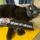Tell Your Cat I said Pspsps - Possum Decal - Frog Mustard Stickers
