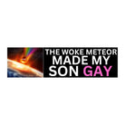 The Woke Meteor Made My Son Gay - Frog Mustard Stickers