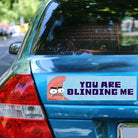 You Are Blinding Me Patrick Star SpongeBob Sticker - Frog Mustard Stickers